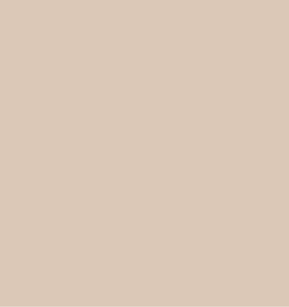 dark-beige